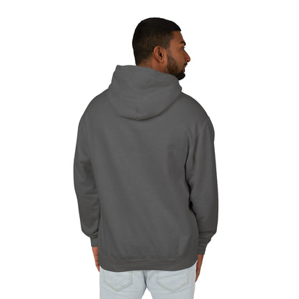 The Dragon Fairy's Dance Hoodie