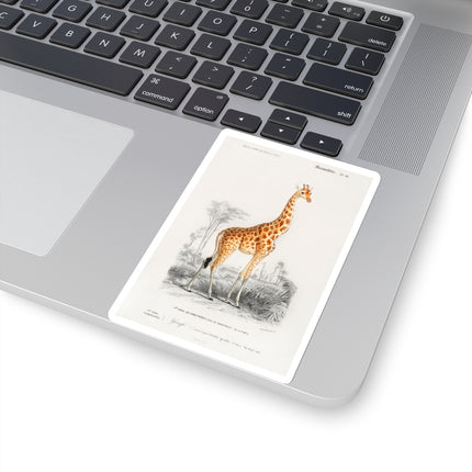 Giraffe by Charles Dessalines D' Orbigny Kiss-Cut Stickers (4 Sizes)
