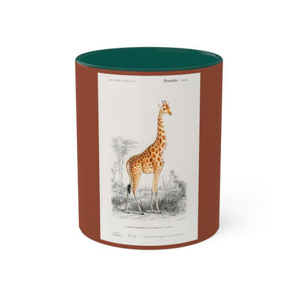 Giraffe by Charles Dessalines D' Orbigny Colorful Mugs, 11oz