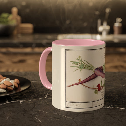 Carrot, Daucus Carota and Red currant, Ribes rubrum by Anselmus Boëtius de Boodt Colorful Mugs, 11oz