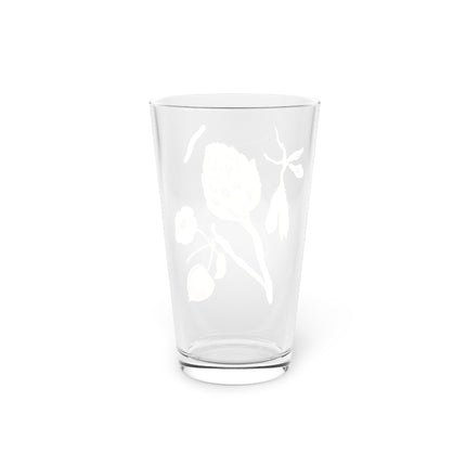Artichoke, Broad Beans, and Lantern Plant Glass, 16oz