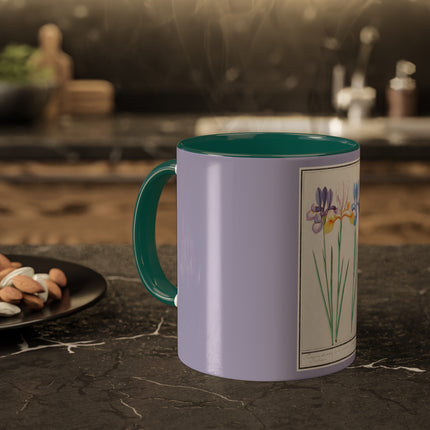 Iris, Iris sibirica by Anselmus Boëtius de Boodt Colorful Mugs, 11oz