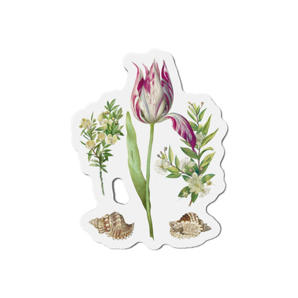 Tulip, Branches of Myrtle, and Shells by Maria Sibylla Merian Die-Cut Magnets (5 Sizes)