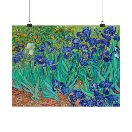 Irises by Vincent Van Gogh Matte Horizontal Posters