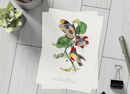 Versicolored Barbet by Paul Gervais Postcards (envelopes included) - Bundles of 10, 30, 50 Pieces