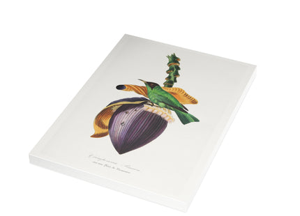 Treecreeper by Paul Gervais Postcards (envelopes included) - Bundles of 10, 30, 50 Pieces