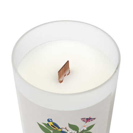 Blue Tit & Butterfly Frosted Glass Candle