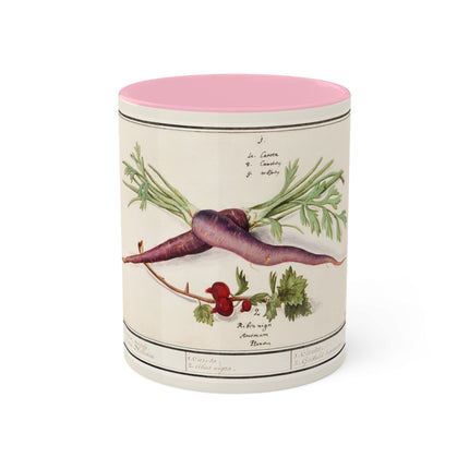 Carrot, Daucus Carota and Red currant, Ribes rubrum by Anselmus Boëtius de Boodt Colorful Mugs, 11oz