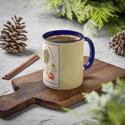 Artichoke, Broad Beans, and Lantern Plant by Anselmus Boëtius de Boodt Colorful Mugs, 11oz