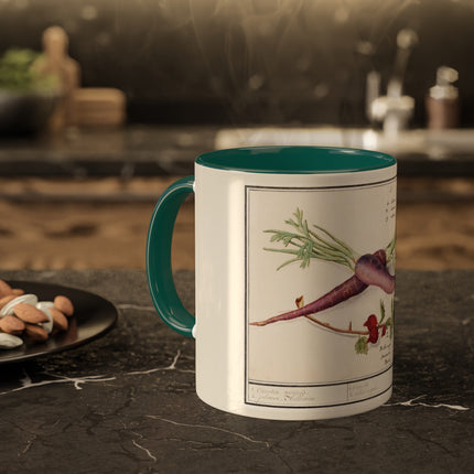 Carrot, Daucus Carota and Red currant, Ribes rubrum by Anselmus Boëtius de Boodt Colorful Mugs, 11oz