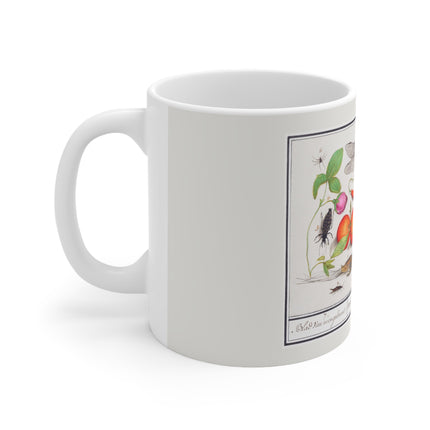 Natural History Ensemble, No. 7 by Anselmus Boëtius de Boodt Ceramic Mug 11oz