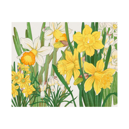 Daffodil by Tanigami Kônan Premium Matte horizontal posters