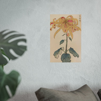 Chrysanthemum Grace Fine Art Poster
