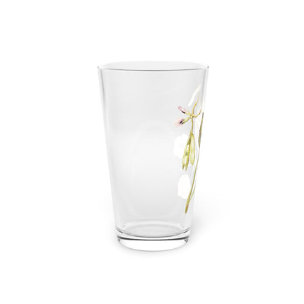 Artichoke, Broad Beans, and Lantern Plant Glass, 16oz