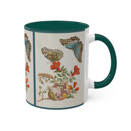 Blue Butterflies and Pomegranate by Maria Sibylla Merian Colorful Mugs, 11oz