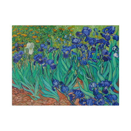 Irises by Vincent Van Gogh Matte Canvas, Stretched, 0.75"