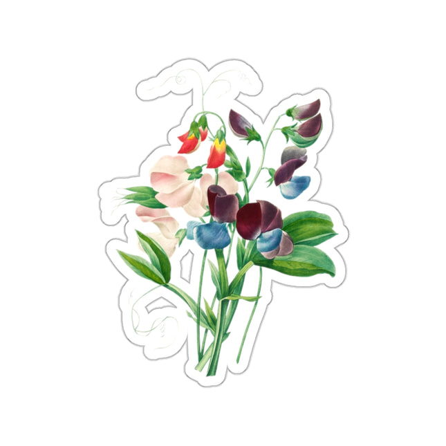 Sweet Pea botanical illustration by Pierre-Joseph Redouté Kiss-Cut Stickers (4 Sizes)