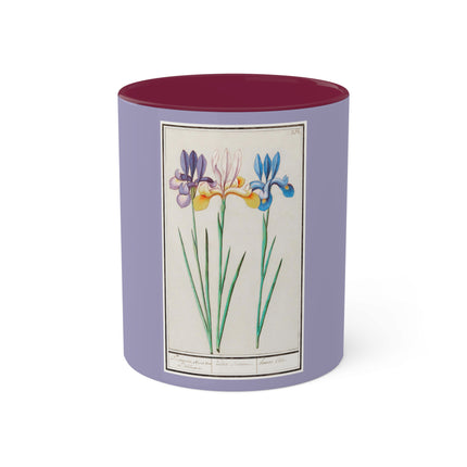 Iris, Iris sibirica by Anselmus Boëtius de Boodt Colorful Mugs, 11oz
