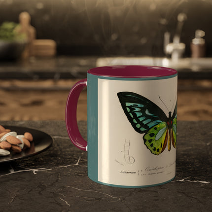 Green Birdwing by Charles Dessalines D' Orbigny Colorful Mugs, 11oz
