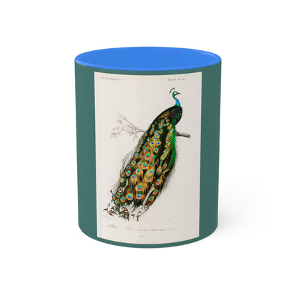 Indian Peafowl by Charles Dessalines D' Orbigny Colorful Mugs, 11oz