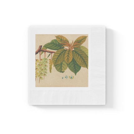 Album of watercolors of Asian fruits and flowers Pl.03 by Anonymous White Coined Napkins