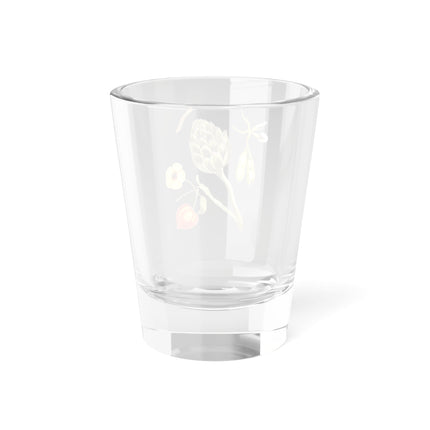 Artichoke, Broad Beans, and Lantern Plant by Anselmus Boëtius de Boodt Shot Glass, 1.5oz