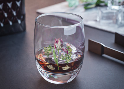 Tulip, Branches of Myrtle, and Shells by Maria Sibylla Merian Whiskey Glass
