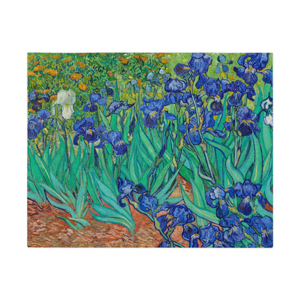 Irises by Vincent Van Gogh Puzzle (30, 110, 252, 500-Piece)