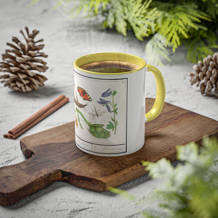 Natural History Ensemble, No. 17 by Anselmus Boëtius de Boodt Colorful Mugs, 11oz