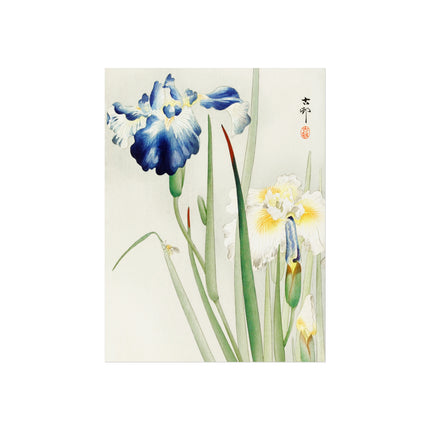 Irises by Ohara Koson Fine Art Posters