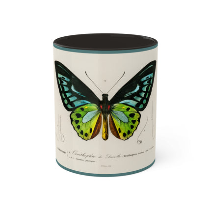 Green Birdwing by Charles Dessalines D' Orbigny Colorful Mugs, 11oz