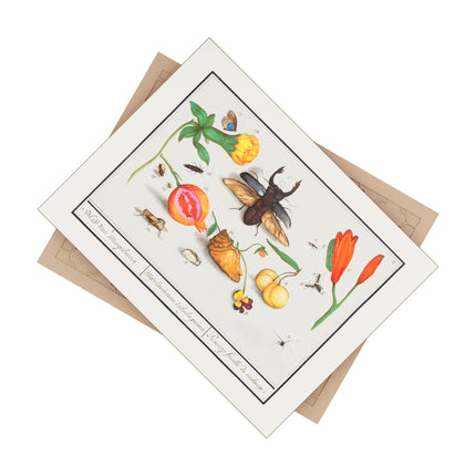 Natural History Ensemble, No. 1 Ceramic Tile