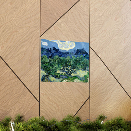 Olive Trees by Vincent Van Gogh Matte Horizontal Posters