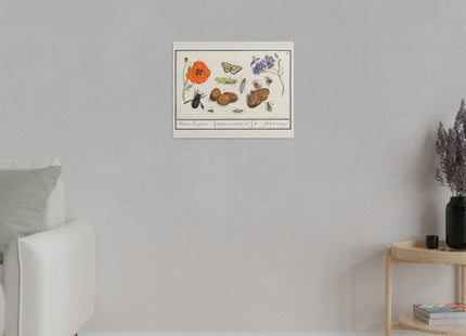 Natural History Ensemble, No. 17 by Anselmus Boëtius de Boodt Matte Canvas, Stretched, 0.75"
