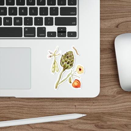 Artichoke, Cynara scolymus, broad beans, Vicia faba and lampion plant, Physalis by Anselmus Boëtius de Boodt Die-Cut Stickers (5 Sizes)