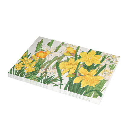Daffodil by Tanigami Kônan Postcards (envelopes included) - Bundles of 10, 30, 50 Pieces