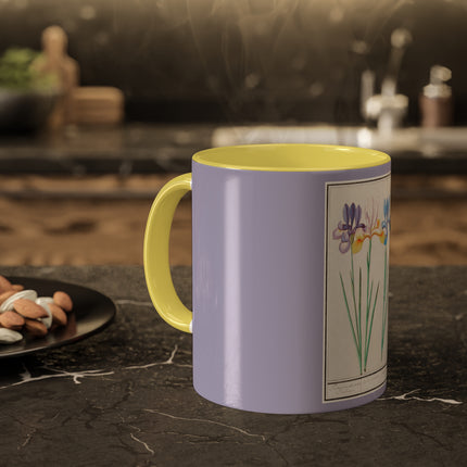 Iris, Iris sibirica by Anselmus Boëtius de Boodt Colorful Mugs, 11oz
