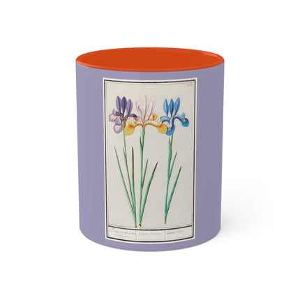 Iris, Iris sibirica by Anselmus Boëtius de Boodt Colorful Mugs, 11oz