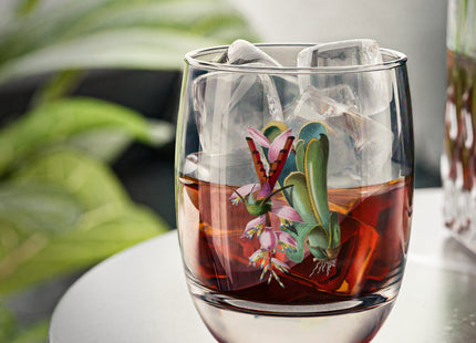 Hummingbird by Paul Gervais Whiskey Glass