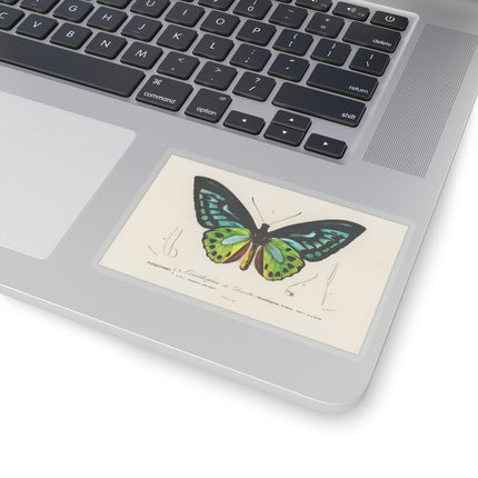 Green Birdwing by Charles Dessalines D' Orbigny Kiss-Cut Stickers (4 Sizes)