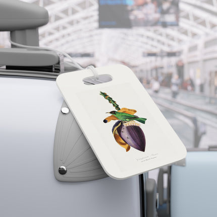 Treecreeper by Paul Gervais Luggage Tag – Rectangle & Round