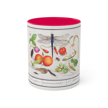 Natural History Ensemble, No. 7 by Anselmus Boëtius de Boodt Colorful Mugs, 11oz