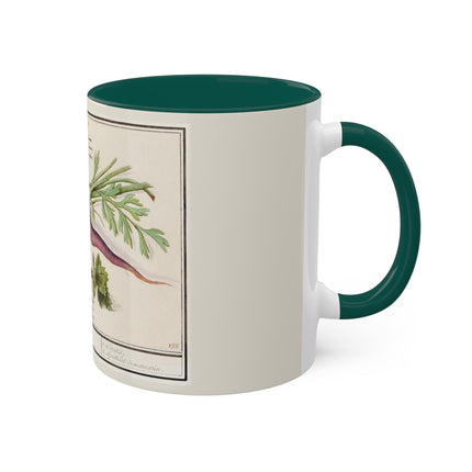 Carrot, Daucus Carota and Red currant, Ribes rubrum by Anselmus Boëtius de Boodt Colorful Mugs, 11oz