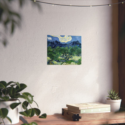 Olive Trees by Vincent Van Gogh Matte Horizontal Posters