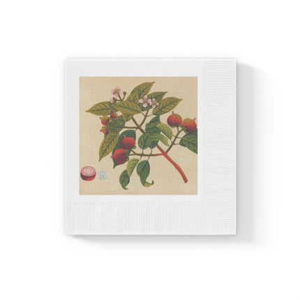 Album of watercolors of Asian fruits and flowers Pl.17 by Anonymous White Coined Napkins