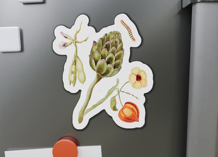 Artichoke, Broad Beans, and Lantern Plant by Anselmus Boëtius de Boodt Die-Cut Magnets (5 Sizes)