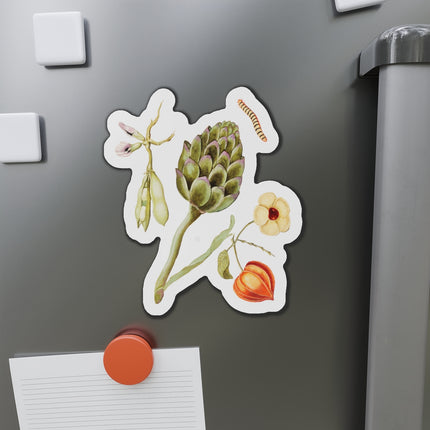Artichoke, Broad Beans, and Lantern Plant by Anselmus Boëtius de Boodt Die-Cut Magnets (5 Sizes)
