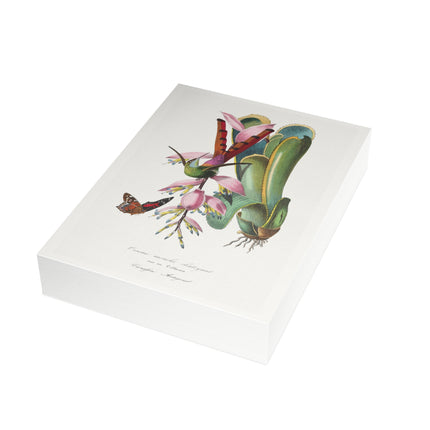 Hummingbird by Paul Gervais Postcards (envelopes included) - Bundles of 10, 30, 50 Pieces