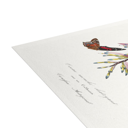 Hummingbird by Paul Gervais Postcards (envelopes included) - Bundles of 10, 30, 50 Pieces