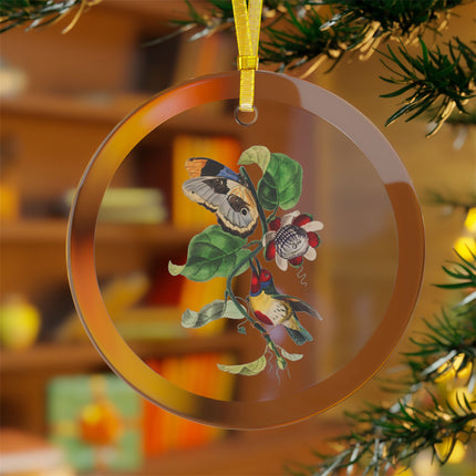 Versicolored Barbet by Paul Gervais Glass Ornament